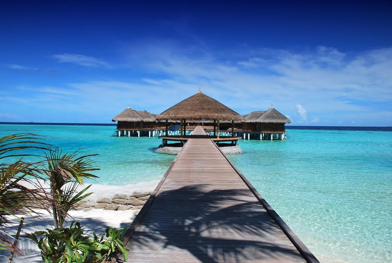 Moonlit Beach Resorts